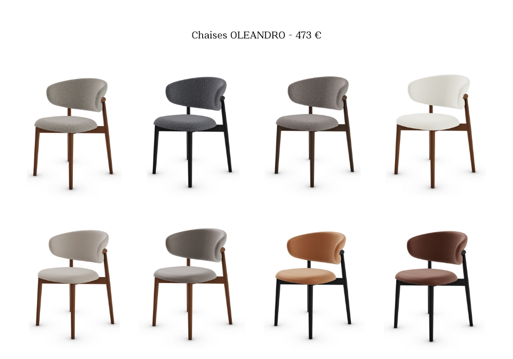 table et chaise/C.Oleandro 2